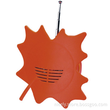 FM carton radio with speaker